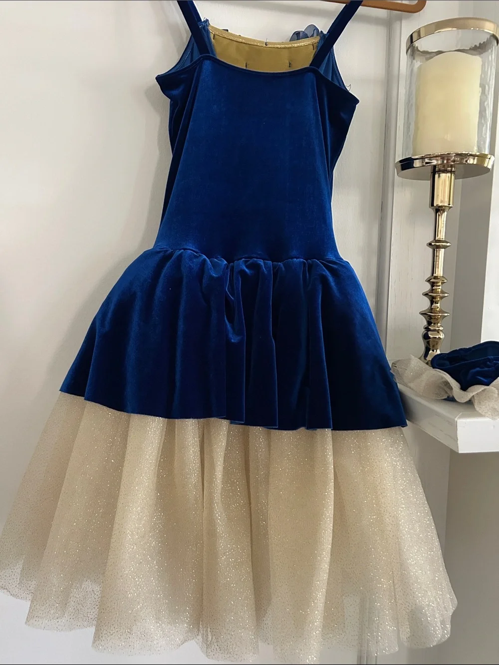 Revolution Blue and Gold Costume